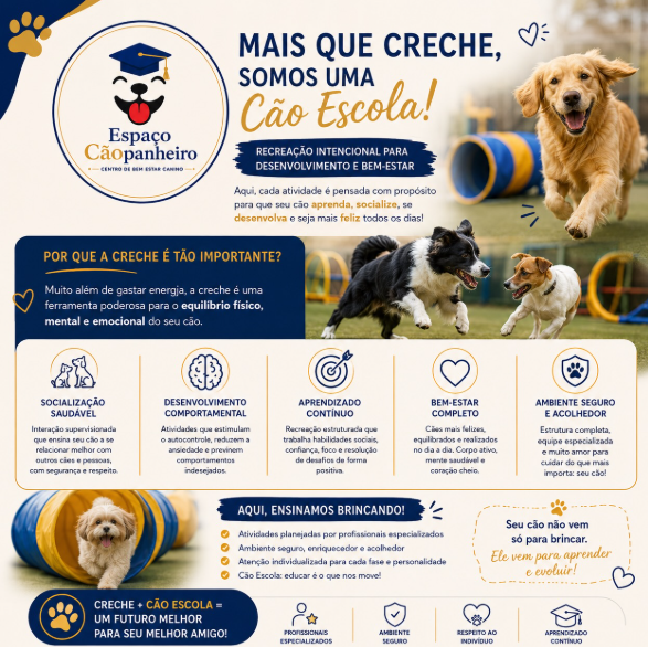 Publicação do Espaço Cãopanheiro no Instagram