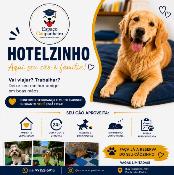 Publicação do Espaço Cãopanheiro no Instagram