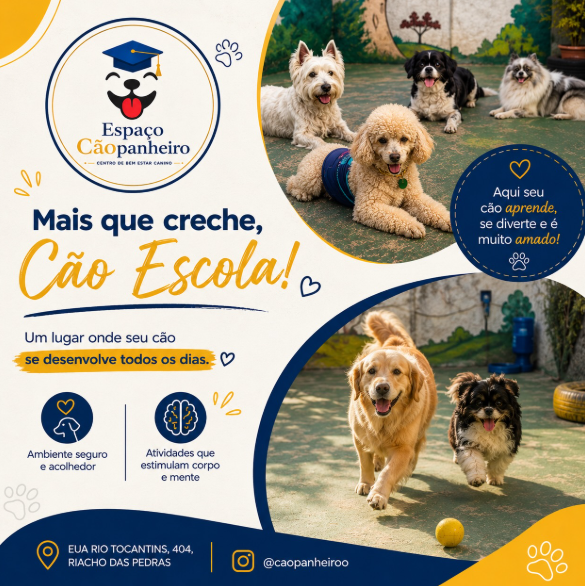 Publicação do Espaço Cãopanheiro no Instagram