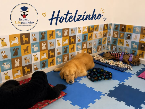 Publicação do Espaço Cãopanheiro no Instagram